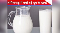 जनता को महंगाई का झटका, प्राइवेट डेयरियों ने बढ़ाए दूध और दही के दाम