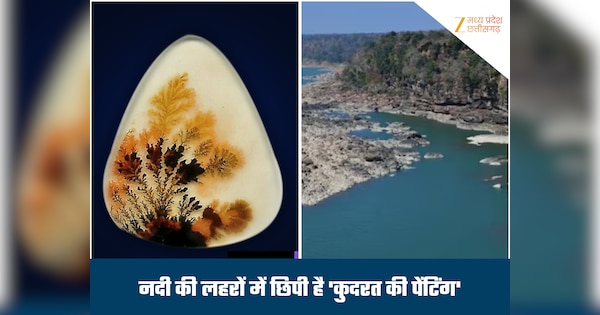 दुनिया की एकमात्र नदी, जिसके पत्थर भी बिकते हैं लाखों में...'शजर' के ...