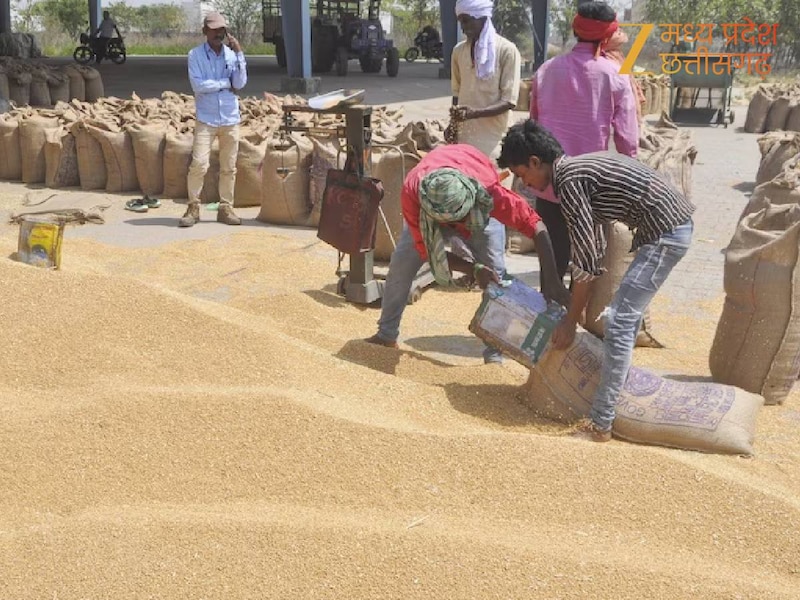 गेहूं खरीदी