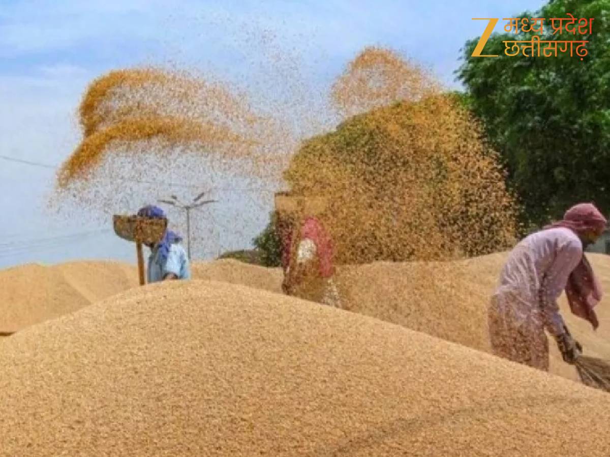 गेहूं खरीदी की तैयारियां