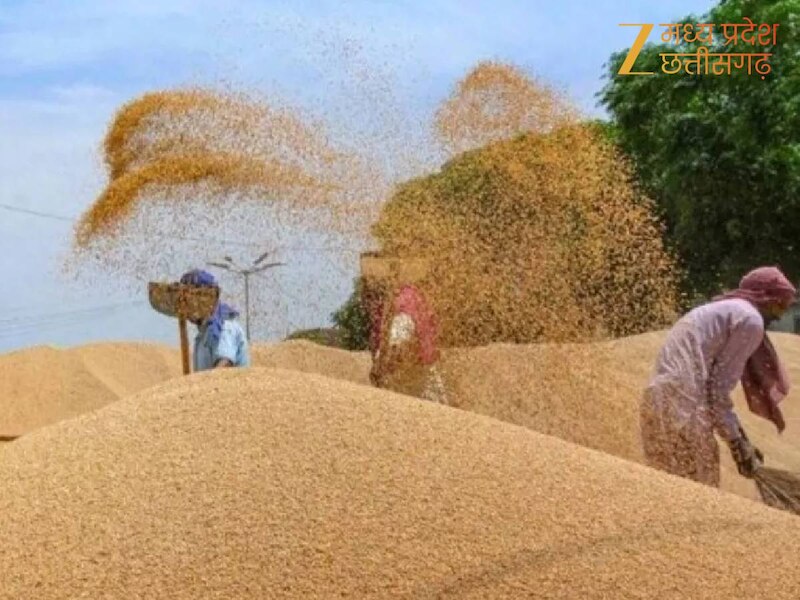 गेहूं खरीदी की तैयारियां