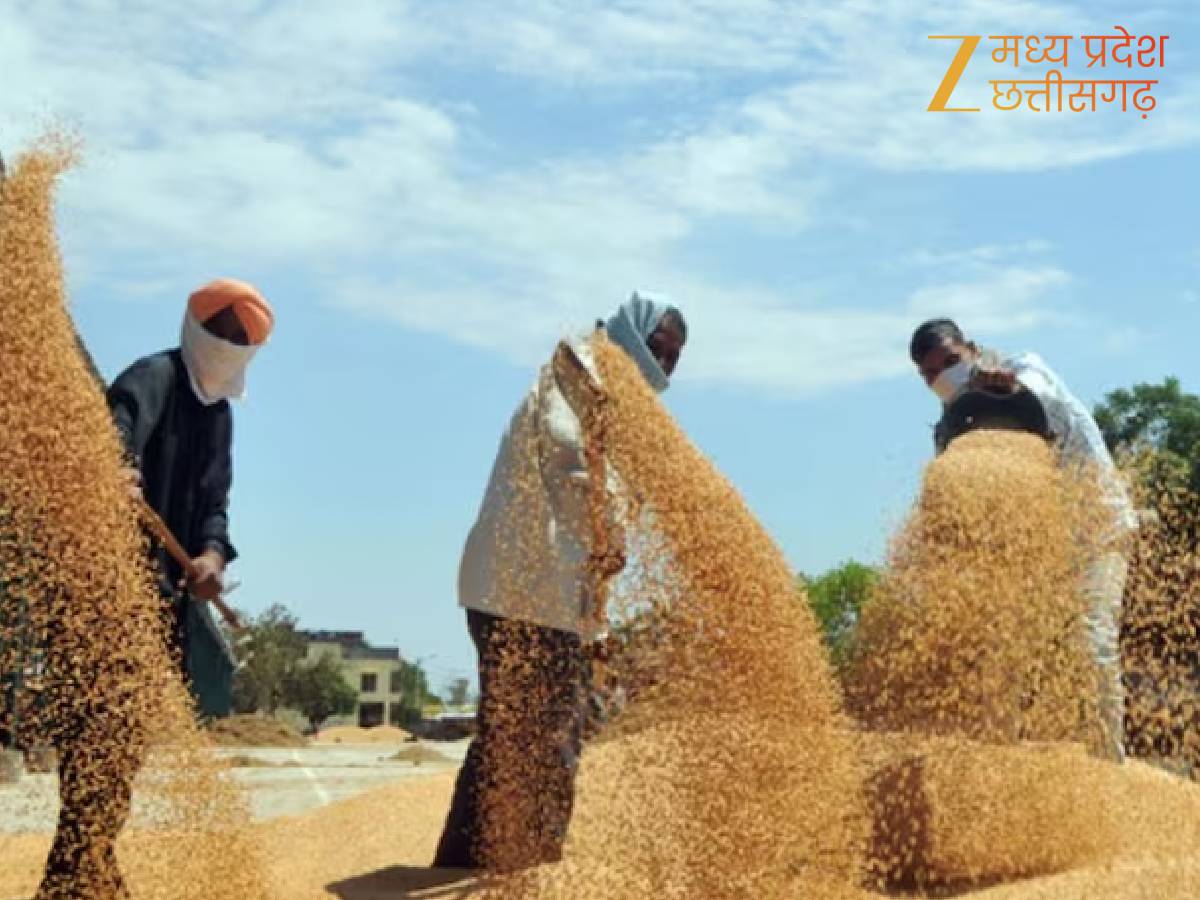 गेहूं का समर्थन मूल्य
