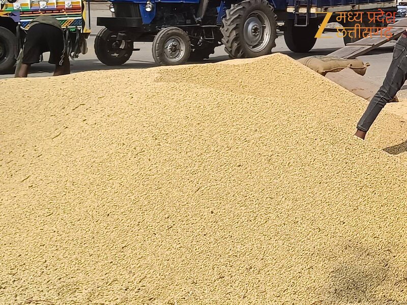 गेहूं का उत्पादन