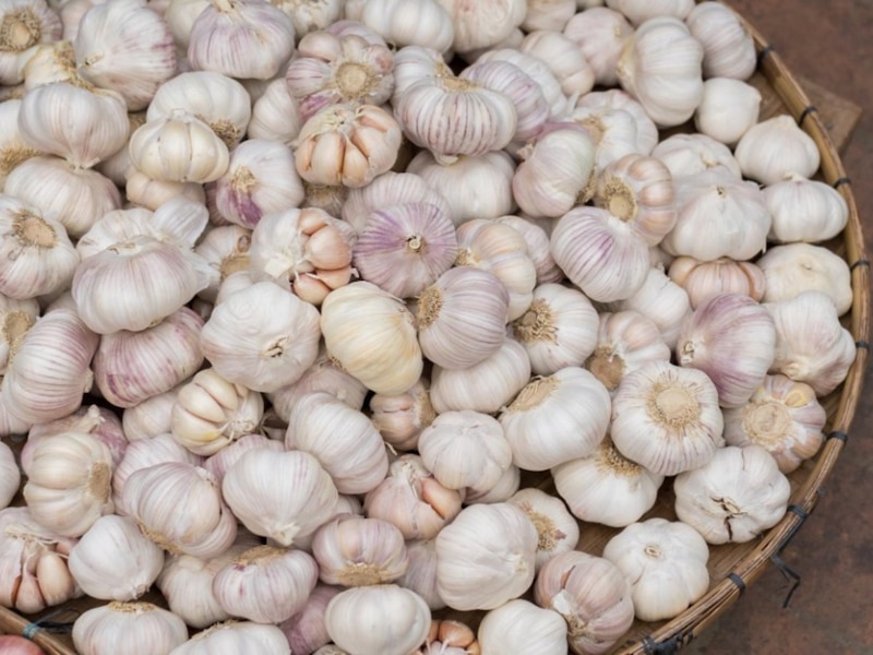 नई फसल के दाम छू रहे आसमान