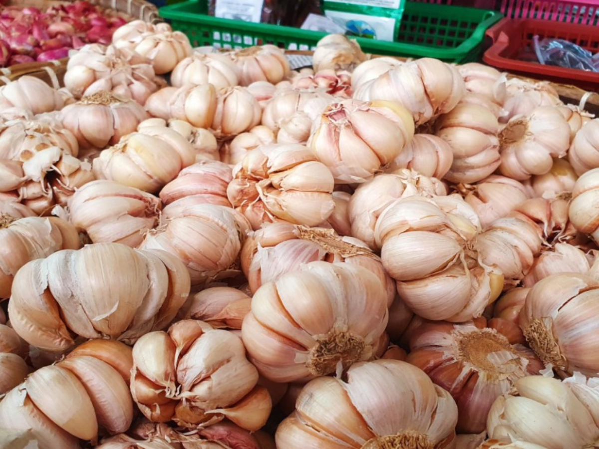 एमपी की बड़ी मंडियों का ताजा हाल