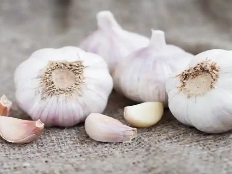 2026 में हुई अच्छी शुरुआत