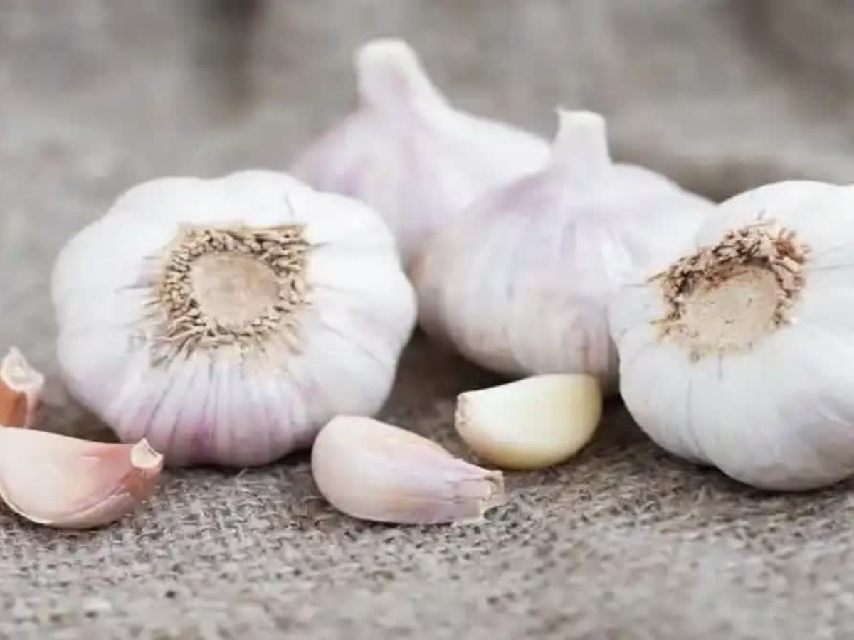 2026 में हुई अच्छी शुरुआत