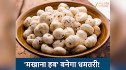 'सफेद सोना' उगलेगा छत्तीसगढ़ का ये जिला! वनांचल की महिलाओं की बदलेगी किस्मत
