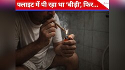 दिल्ली से गोवा जा रही फ्लाइट के टॉयलेट में 'बीड़ी' पीते पकड़ा गया शख्स, केस दर्ज