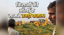 खड़ी फसल पर चला बुलडोजर, 25 बीघा गेहूं-लाही हुई तबाह; जमीन विवाद ने मचाया बवाल