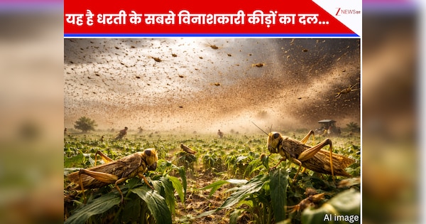 60 KM लंबा \'मौत का दल\'! अरबों की फौज और पल भर में फसलें चट; मिलिए धरती के सबसे विनाशकारी कीड़ों के दल से
