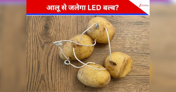 गजब की खोज: 8 मिनट उबालें आलू और महीने भर जलाएं घर का बल्ब! जानें कैसे काम करती है यह जादुई \'पोटैटो बैटरी\'