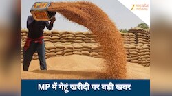MP के चार संभागों में 1 अप्रैल से होगी गेहूं खरीदी, छुट्टी के दिन खुलेंगे केंद्र