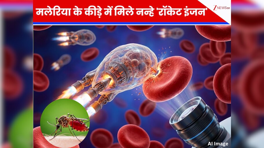 scientists discover rocket engine like myosin motors in malaria ...