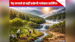 पेड़ लगाने से नहीं रुकेगी ग्लोबल वार्मिंग? वैज्ञानिकों का डराने वाला खुलासा...