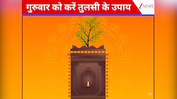गुरुवार को करें मां तुलसी को प्रसन्न, इन चीजों को चढ़ाने से पैसों की तंगी होगी दूर!