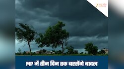 MP में फिर पलटेगा मौसम, तेज गर्मी के बीच शुरू होगा आंधी-बारिश का दौर, जानें ताजा हाल