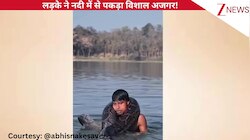 VIDEO: नदी में विशाल अजगर को शांत करता नजर आया लड़का, शख्स के गले में मारी कुंडली, देख उड़ जाएंगे होश