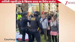US: अमेरिकी राष्ट्रपति ट्रंप के खिलाफ जनता का विरोध प्रदर्शन, 'No Kings' नारे के साथ सड़कों पर उतरे लोग, वीडियो वायरल