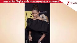 हाथ में प्राडा का बैग लिए रेड कार्पेट पर Avneet Kaur का जलवा, एक्ट्रेस के ग्लोइंग फेस से फैंस का नजरें हटाना हुआ मुश्किल!