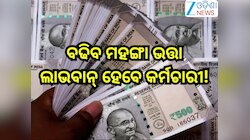 DA Hike News: ବଡ଼ ଘୋଷଣା! ଏତିକି ପ୍ରତିଶତ ବଢିବ ମହଙ୍ଗା ଭତ୍ତା, ଜାଣନ୍ତୁ କେବେ ?