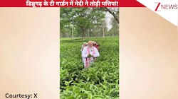 Assam: डिब्रूगढ़ के Tea गार्डन में PM Modi ने महिलाओं श्रमिकों के साथ पत्तियां तोड़ी, प्रधानमंत्री ने सुना गीत और ली सेल्फी!