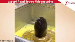 मुख्यमंत्री योगी आदित्यनाथ पहुंचे वाराणसी, पूरी श्रद्धा के साथ सभी पुजारियों के साथ शिवलिंग की पूजा-अर्चना, वीडियो देखिए