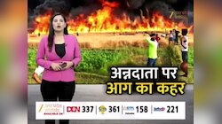 गोंडा में कई एकड़ फसल में लगी आग, किसानों की खून-पसीने की मेहनत हुई खाक