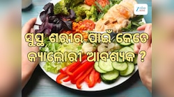 World Health Day 2026: ବୟସ ତୁଳନାରେ କେତେ କ୍ୟାଲୋରି ଆବଶ୍ୟକ, ଜାଣନ୍ତୁ କଣ କହୁଛନ୍ତି ଡାକ୍ତର