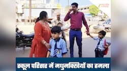 गुना के स्कूल में तांडव! प्रार्थना के वक्त आसमान से टूटा मधुमक्खियों का कहर,कई घायल