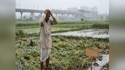 दिल्ली-NCR में मौसम हुआ सुहावना, लेकिन बेमौसम बारिश ने बढ़ाई किसानों की चिंता