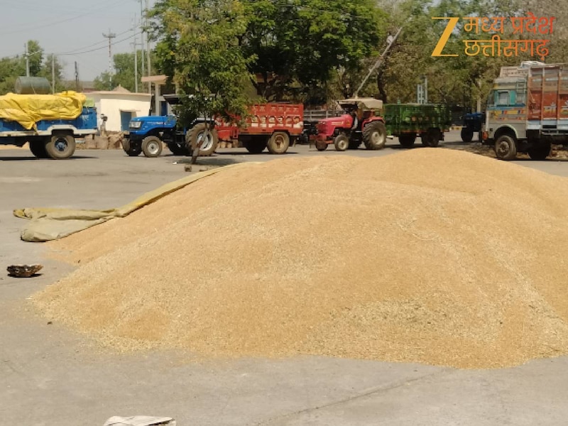 गेहूं का समर्थन मूल्य