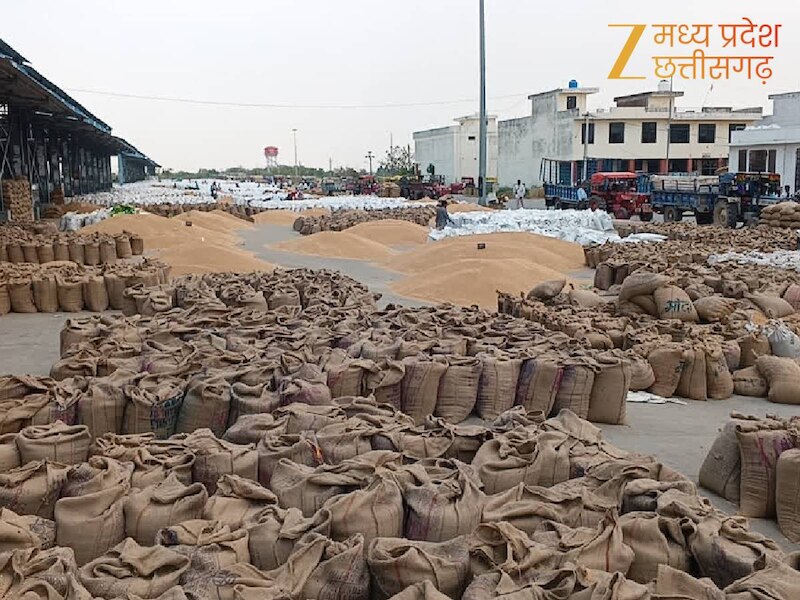 गेहूं खरीदी की व्यवस्था