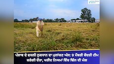 ਪੰਜਾਬ ਦੇ ਫਸਲੀ ਨੁਕਸਾਨ ਦਾ ਮੁਲਾਂਕਣ ਅੱਜ: 9 ਮੈਂਬਰੀ ਕੇਂਦਰੀ ਟੀਮ ਕਰੇਗੀ ਦੌਰਾ