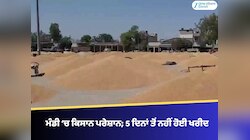ਫਰੀਦਕੋਟ ਮੰਡੀ ‘ਚ ਕਿਸਾਨ ਪਰੇਸ਼ਾਨ; 5 ਦਿਨਾਂ ਤੋਂ ਨਹੀਂ ਹੋਈ ਖਰੀਦ, ਸਰਕਾਰੀ ਦਾਅਵੇ ਫੇਲ੍ਹ