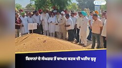 ਕਿਸਾਨਾਂ ਦੇ ਸੰਘਰਸ਼ ਤੋਂ ਬਾਅਦ ਮੰਡੀ ਵਿੱਚ MLA ਗੁਰਦਿੱਤ ਸੇਖੋਂ ਨੇ ਕਣਕ ਦੀ ਖਰੀਦ ਸ਼ੁਰੂ ਕਰਵਾਈ