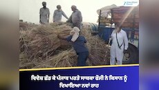 ਵਿਦੇਸ਼ ਛੱਡ ਕੇ ਪੰਜਾਬ ਪਰਤੇ ਫੌਜੀ ਨੇ ਕਿਸਾਨ ਨੂੰ ਦਿਖਾਇਆ ਨਵਾਂ ਰਾਹ, ਕੁਦਰਤੀ ਖੇਤੀ ਕੀਤੀ ਸ਼ੁਰੂ