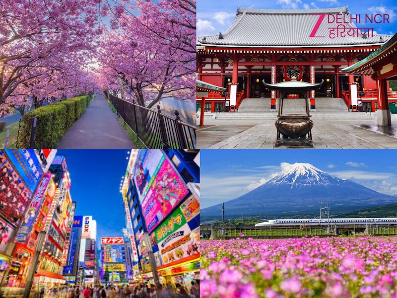 Japan Tour: कम बजट में इंटरनेशनल ट्रिप, जापान की सैर का मौका लाया IRCTC ...