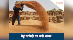MP में गेहूं खरीदी पर बड़ी खबर, इस फैसले से किसानों को मिलेगी राहत, जानिए मामला