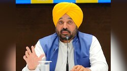 'इन गद्दारों को BJP में कुछ नहीं मिलेगा...,' AAP सांसदों की बगावत से भड़के भगवंत मान