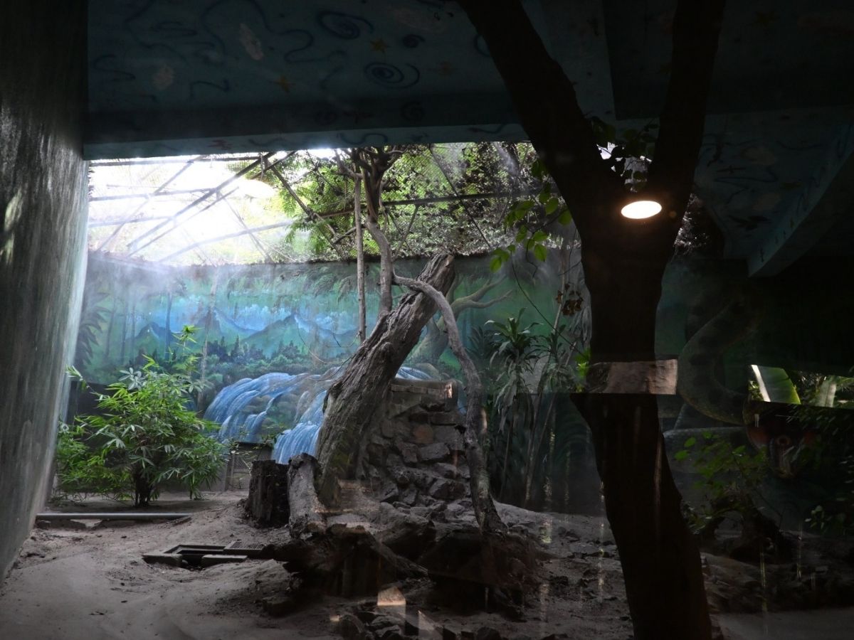 पानी और बुनियादी सुविधाओं की व्यवस्था