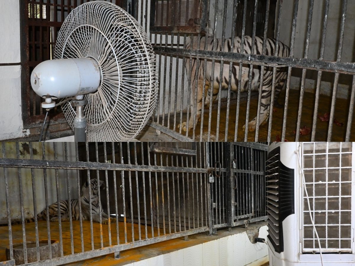 गर्मी से निपटने के लिए पटना जू में विशेष इंतजाम