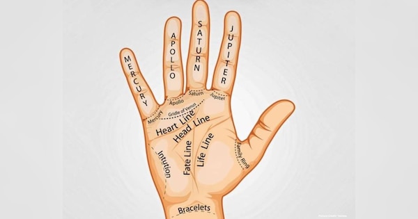 hast rekha palmistry palm these lines indicate good luck after marriage ...