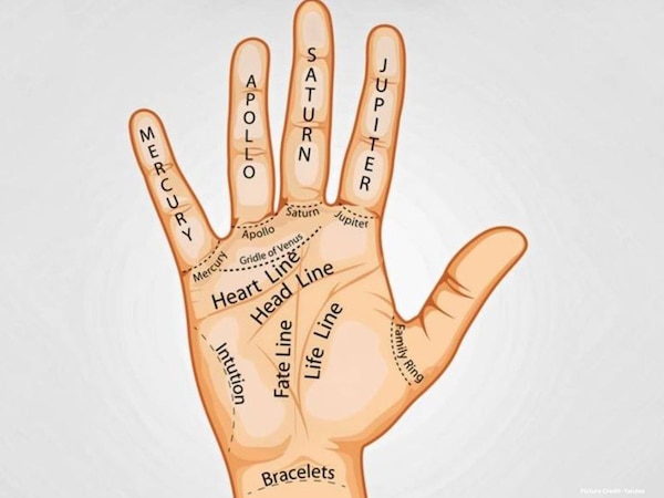 hast rekha palmistry palm these lines indicate good luck after marriage ...