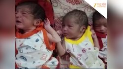 4 संतानों के बाद एक साथ 3 बच्चों का जन्म, जच्चा-बच्चा सभी स्वस्थ, परिवार में खुशियां