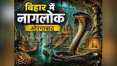 बिहार में नागलोकः औरंगाबाद में एक घर से निकले 40 सांप, गांव में मचा हड़कंप