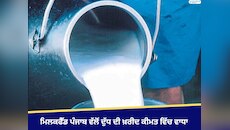 ਮਿਲਕਫੈੱਡ ਪੰਜਾਬ ਵੱਲੋਂ ਦੁੱਧ ਦੀ ਖ਼ਰੀਦ ਕੀਮਤ ਵਿੱਚ ਵਾਧਾ
