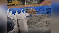 Haryana Rain: यमुनानगर में बे-मौसम बारिश का असर, मंडी में गेहूं उठान पर ब्रेक 