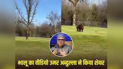 श्रीनगर के गोल्फ कोर्स में घुसे जंगली भालू, उमर अब्दुल्ला ने शेयर किया शरारती VIDEO 