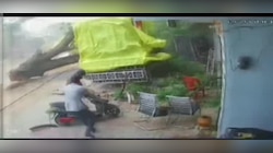 ललितपुर में तूफान बना काल! तेज हवा से एक विशालकाय पेड़ उखड़कर गिरा; स्कूटी सवार बाल-बाल बचा